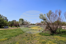 Пловдив - река Марица - речно корито - почистване