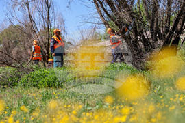 Пловдив - река Марица - речно корито - почистване