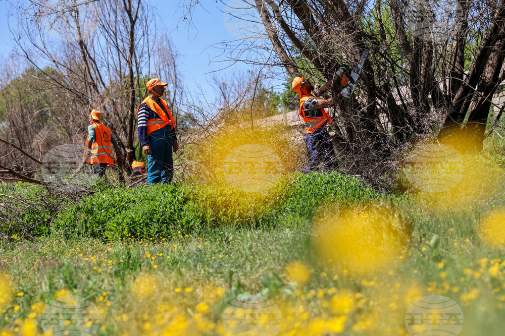 Пловдив - река Марица - речно корито - почистване