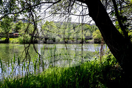 Пловдив - река Марица - речно корито - почистване