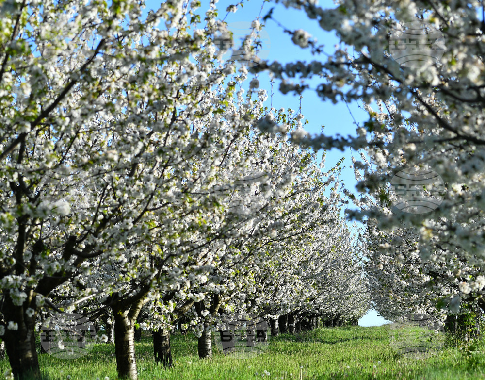 Държавният фонд "Земеделие" преведе 166 млн. лeва по еко схемата за намаляване използването на пестициди 