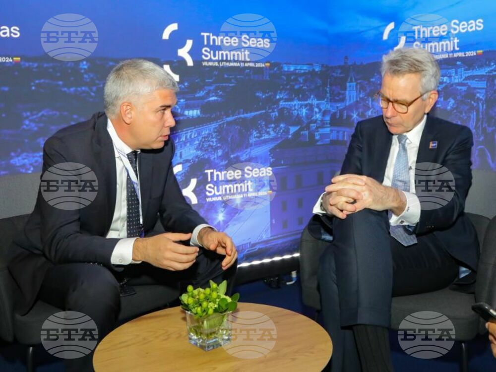 Caretaker Energy Minister Malinov, US Assistant Secretary of State Pyatt Discuss Energy Cooperation