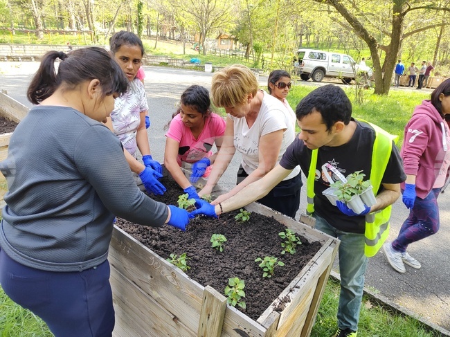Кърджали - парк „Простор“ - почистване