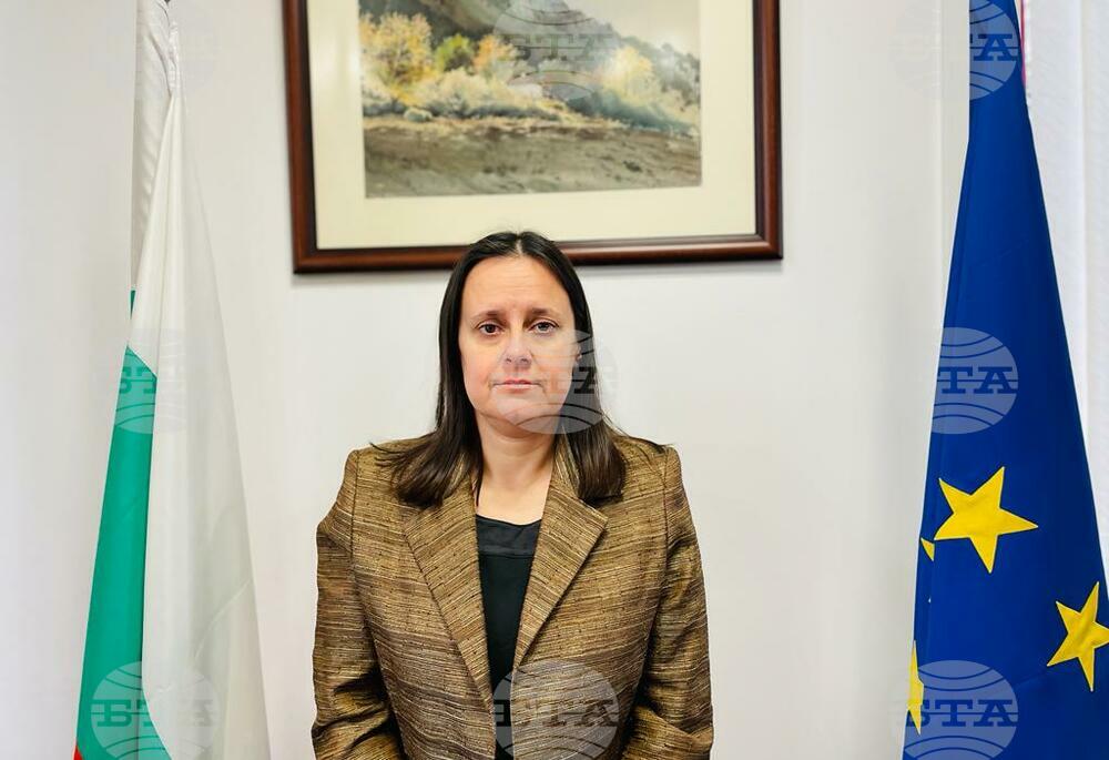 Construction Control Directorate Head Replaced with Engineer Lilyana Petrova