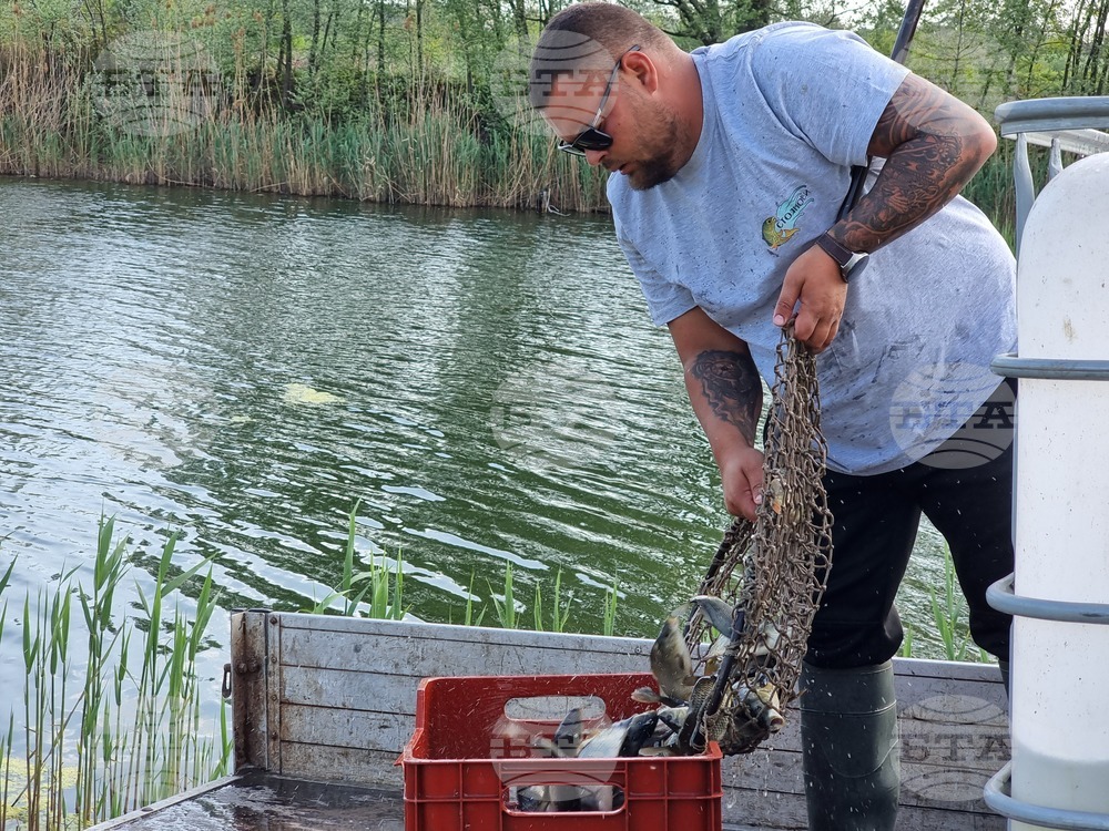 Ямбол - гребен канал - зарибяване