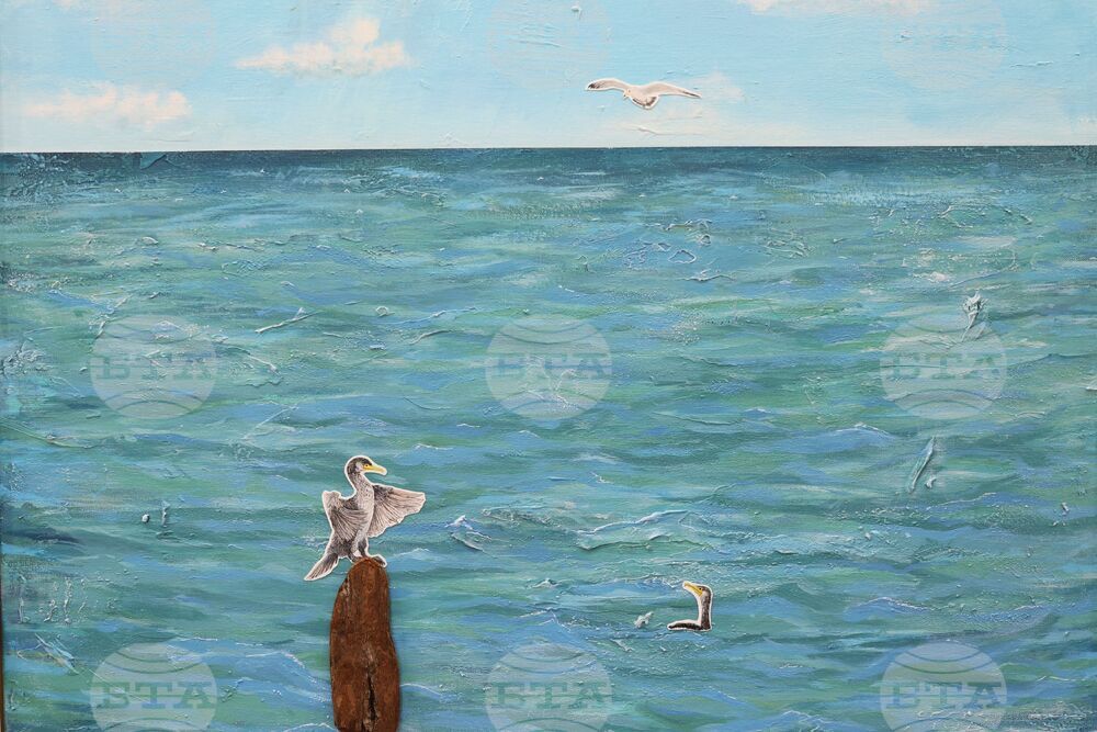 Бургас - „Лица на водата“ - изложба