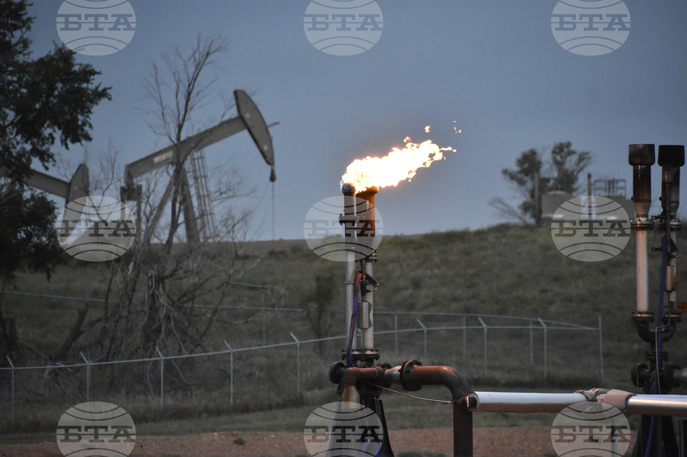 "Шел" и "ТоталЕнержи" отчитат растеж на печалбите през третото тримесечие на годината