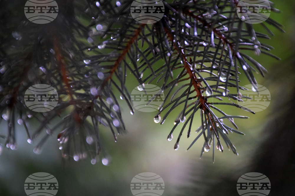 Не са добри условията за туризъм в планините, съобщиха от Планинската спасителна служба на БЧК