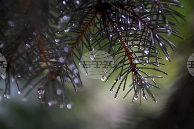 Не са добри условията за туризъм в планините, съобщиха от Планинската спасителна служба на БЧК