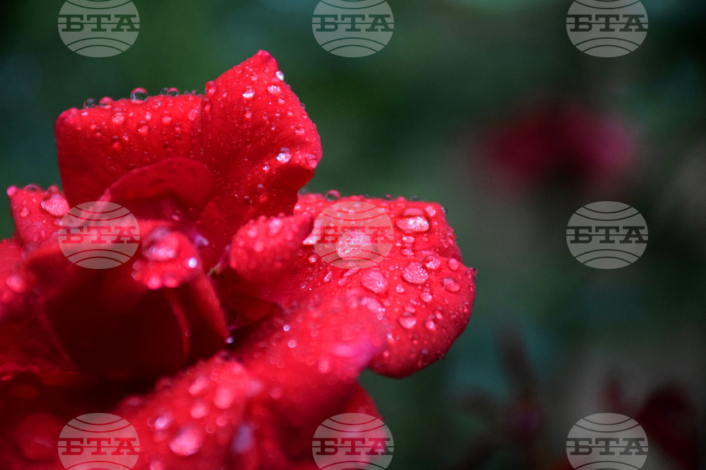 Благоевград - дъждовно време - капки