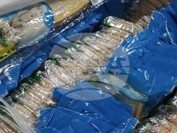 Голямо количество контрабандни стоки задържаха митнически служители от ТД Митница София 