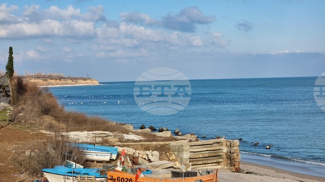 Отменено е решение по екологична оценка за горска територия в Крапец, МОСВ предприема действия да не се унищожават пясъчни дюни