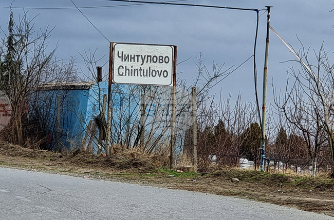 Автомобил се удари в крайпътно дърво, след като репатрак му отне предимството, съобщиха от полицията в Сливен 