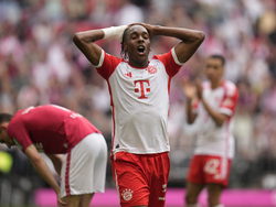 Germany Soccer Bundesliga