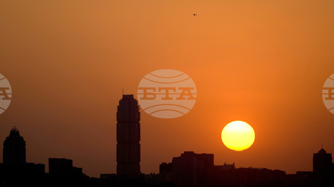 Република Южна Африка представи ваксина срещу шап