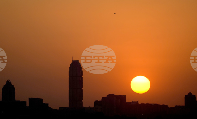 Република Южна Африка представи ваксина срещу шап