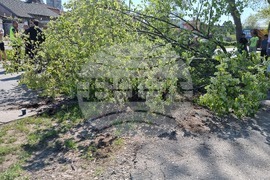 Добрич - пътнотранспортно произшествие