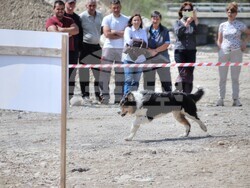 Снимка: Община Банско