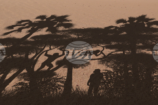 Предшественици на човека са ходели изправени преди 7 милиона години, показва проучване