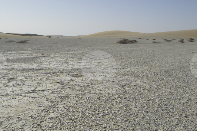 Френски турист бе открит мъртъв в Чад след два дни в неизвестност