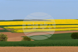 Село Подайва - рапица