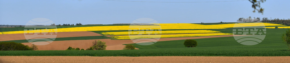 Село Подайва - рапица