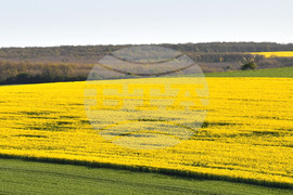 Село Подайва - рапица