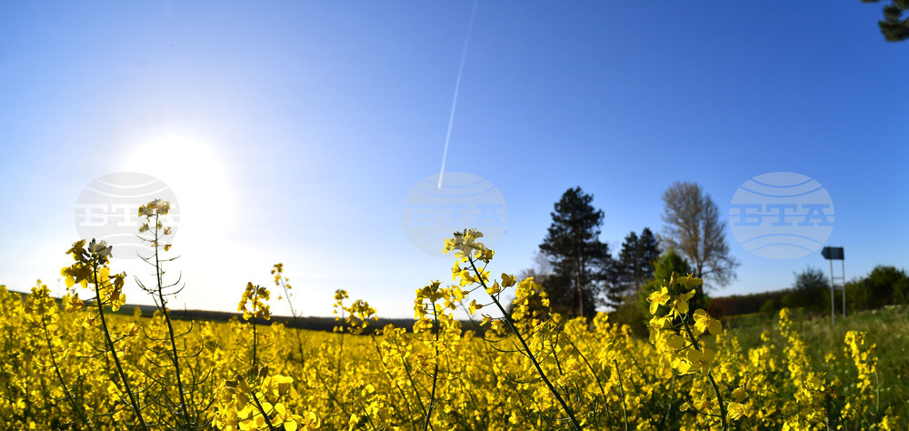 Село Подайва - рапица