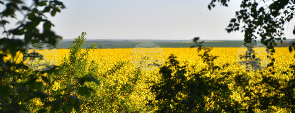 Село Подайва - рапица