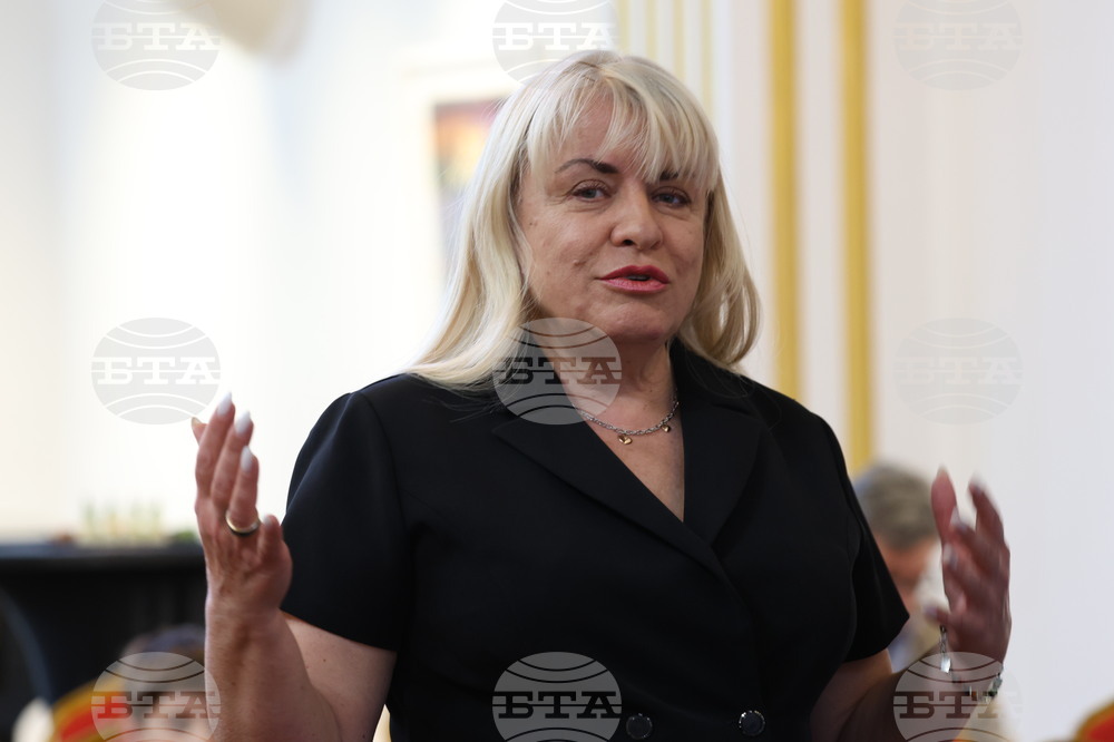 MOST - Конкурс в подкрепа на българското съвременно изкуство - пресконференция - Мая Станчева