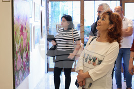 Бургас - „Цветница е!“ - живопис - изложба