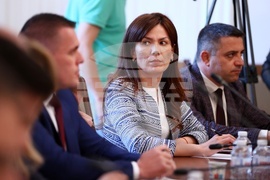 Народно събрание - Комисия за Мартин Божанов