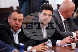 Народно събрание - Комисия за Мартин Божанов