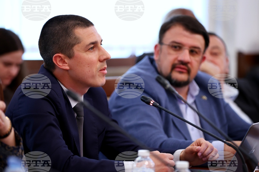Народно събрание - Комисия за Мартин Божанов