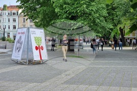 Бургас - игра с новата визия на изложението за цветя „Флора”