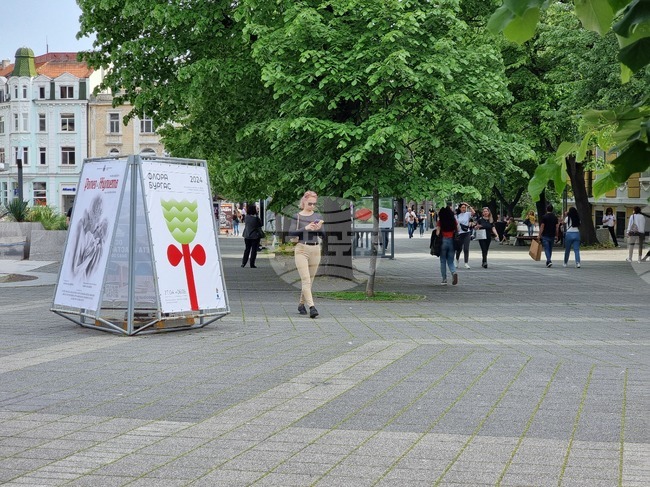 Бургас - игра с новата визия на изложението за цветя „Флора”