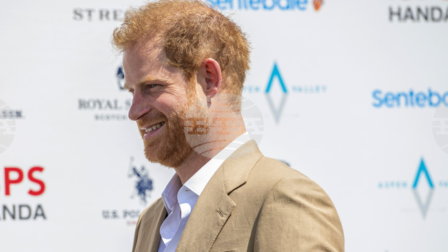 Принц Хари обмисля да създаде нова благотворителна организация