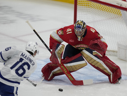 Maple Leafs Panthers Hockey