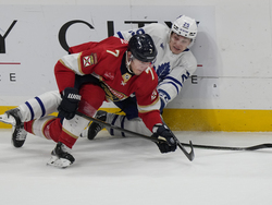 Maple Leafs Panthers Hockey