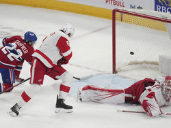 Red Wings Canadiens Hockey