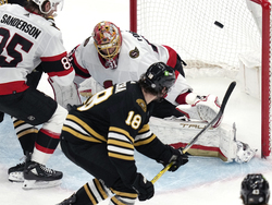 Senators Bruins Hockey