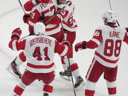 Red Wings Canadiens Hockey