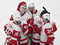 Red Wings Canadiens Hockey