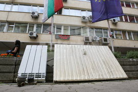 Мая Манолова - Изправи се България