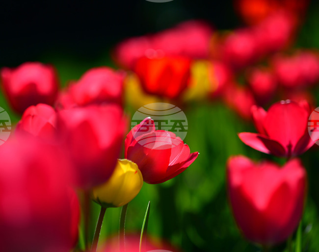 Прогноза за времето 