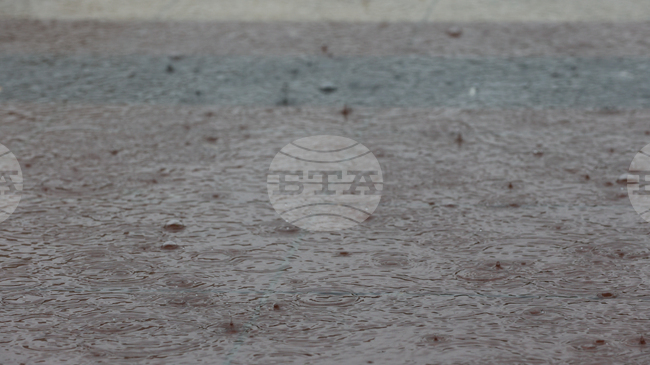 Повече от десет къщи са наводнени в петричкото село Рупите, съобщи кметът Димитър Господинов 