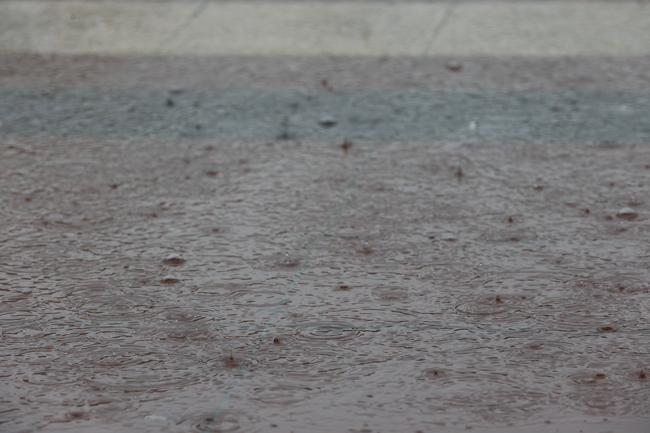 Повече от десет къщи са наводнени в петричкото село Рупите, съобщи кметът Димитър Господинов 