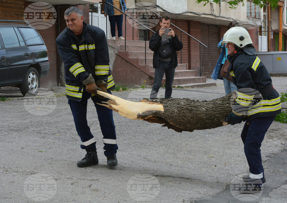 Общо 12 сигнала за причинени от силния вятър инциденти са получени в областната пожарна в Хасково