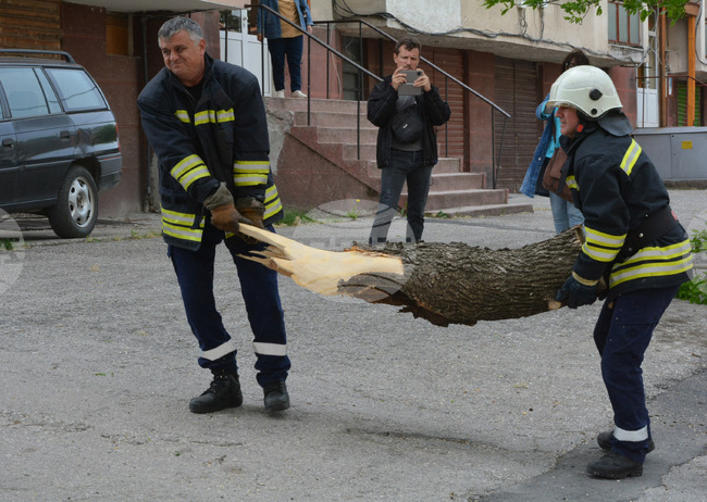 Общо 12 сигнала за причинени от силния вятър инциденти са получени в областната пожарна в Хасково
