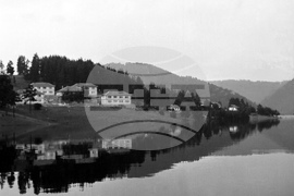 Язовир "Батак" - природа - изглед